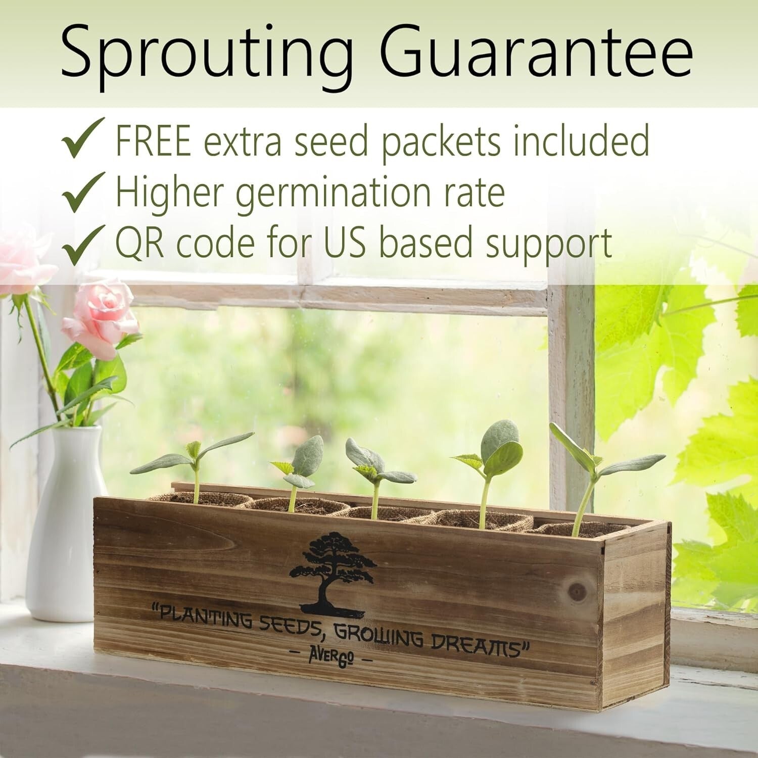 Organic Bonsai Tree Growing Kit with Easy Instructions – Ideal for Beginners