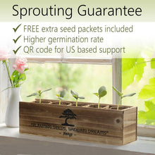 Load image into Gallery viewer, Organic Bonsai Tree Growing Kit with Easy Instructions – Ideal for Beginners