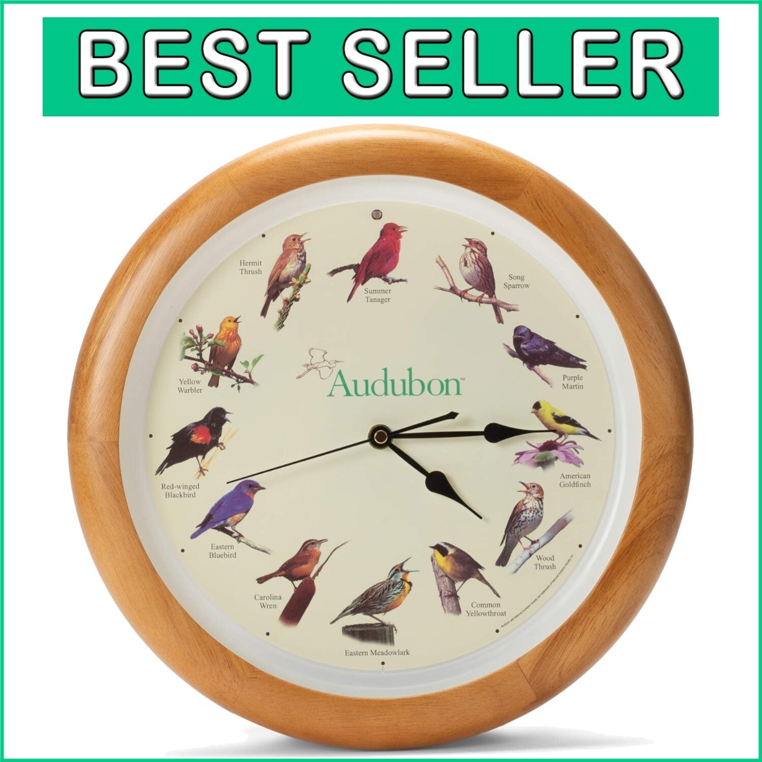 Authentic Bird Song 13-Inch Oak Wall Clock - Perfect for Nature Lovers