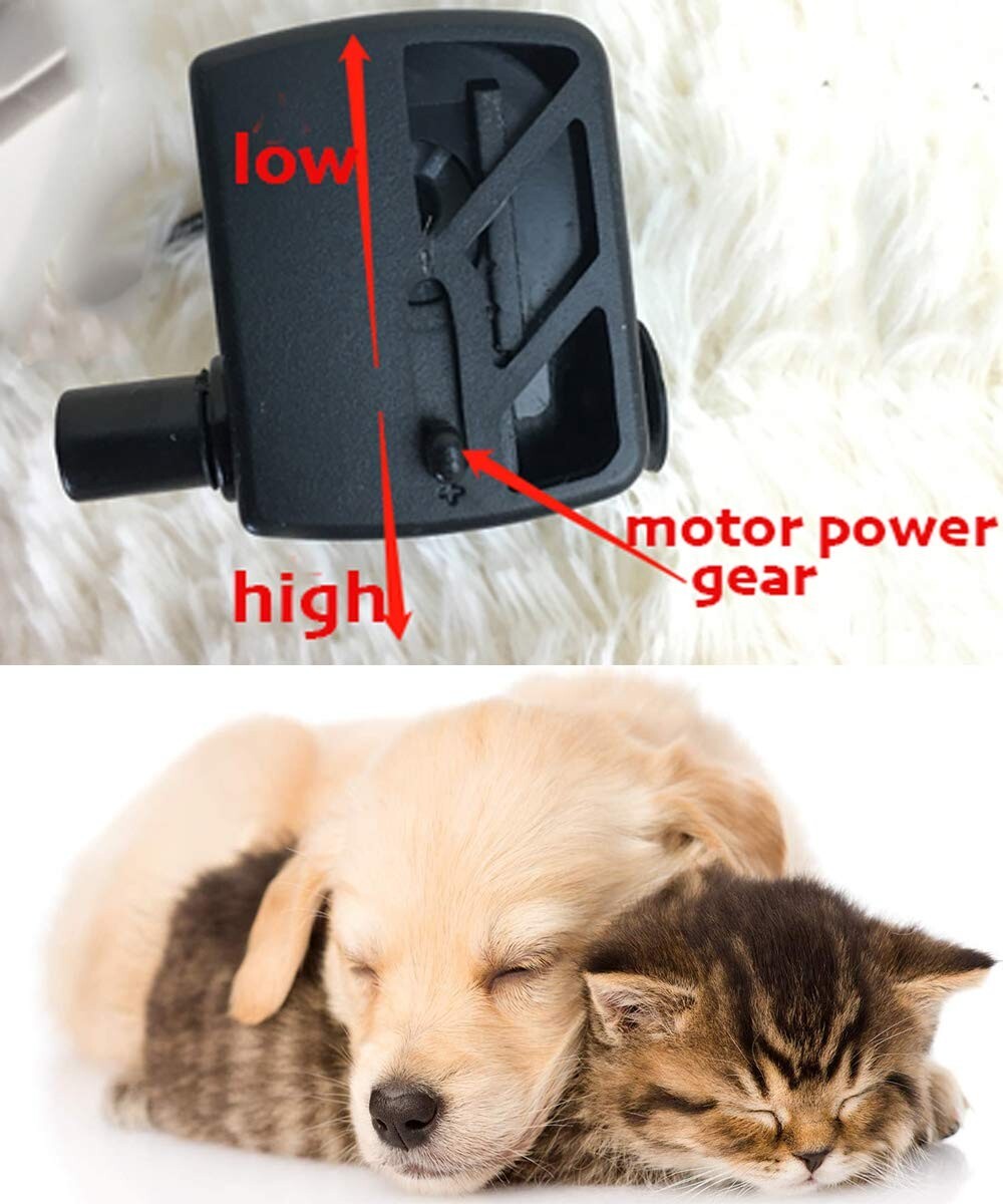 Elegant Swan Pet Fountain - 80oz Capacity for Dogs & Cats - Easy to Clean Design