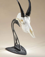 Load image into Gallery viewer, Powder Coated Steel Table Trophy Mount – Showcase Small to Medium Skull Displays