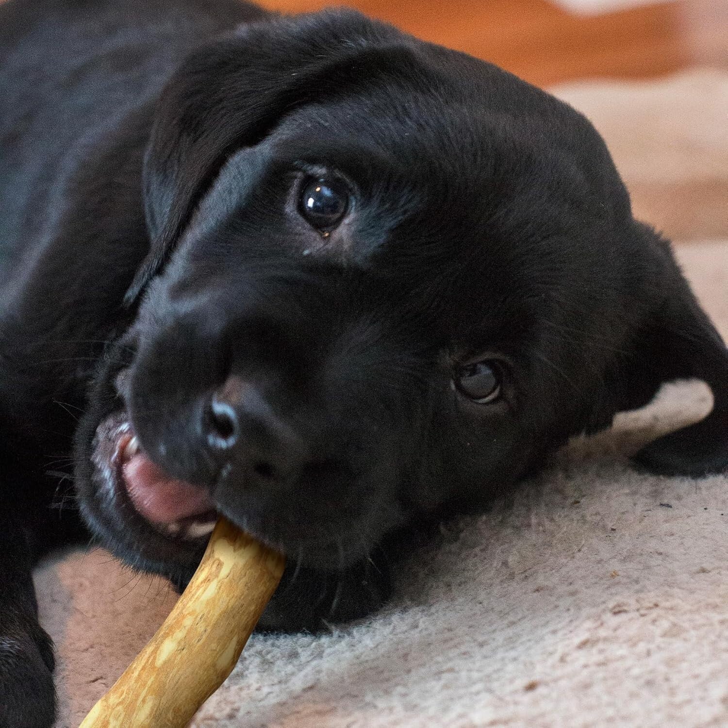 All-Natural Coffee Wood Chewing Toy Set of 3 - Promotes Healthy Chewing Habits