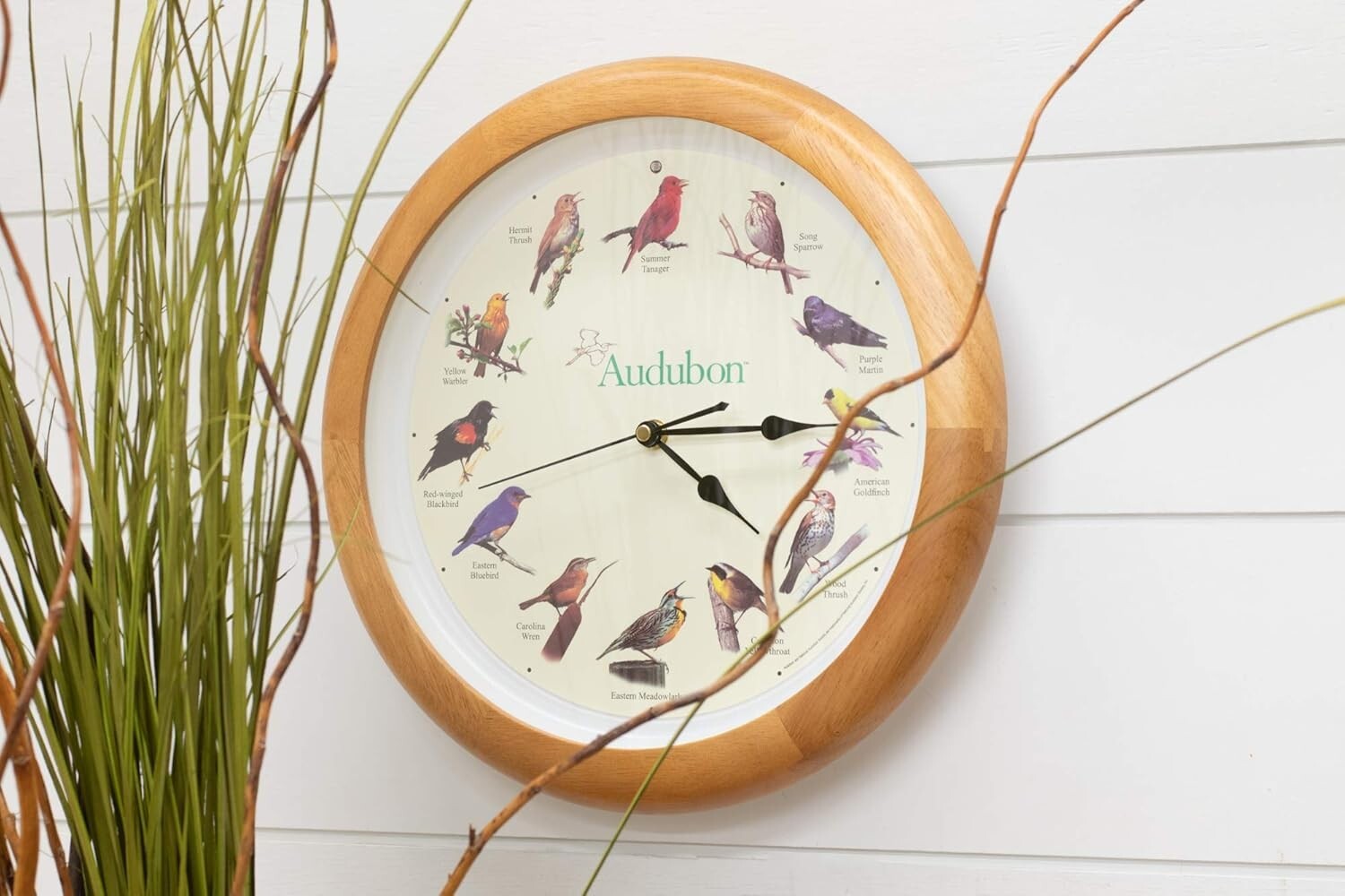 Educational Singing Bird Wall Clock with Light Sensor - 13 Inch Oak Frame