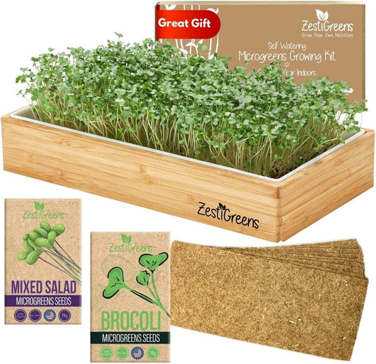 Indoor Self-Watering Microgreens Kit - Perfect for Beginners: No Soil Needed!
