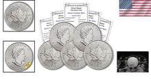 Load image into Gallery viewer, Unique 5-Coin Silver Maple Leaf Lot - Random Years, High Reflectivity and Purity