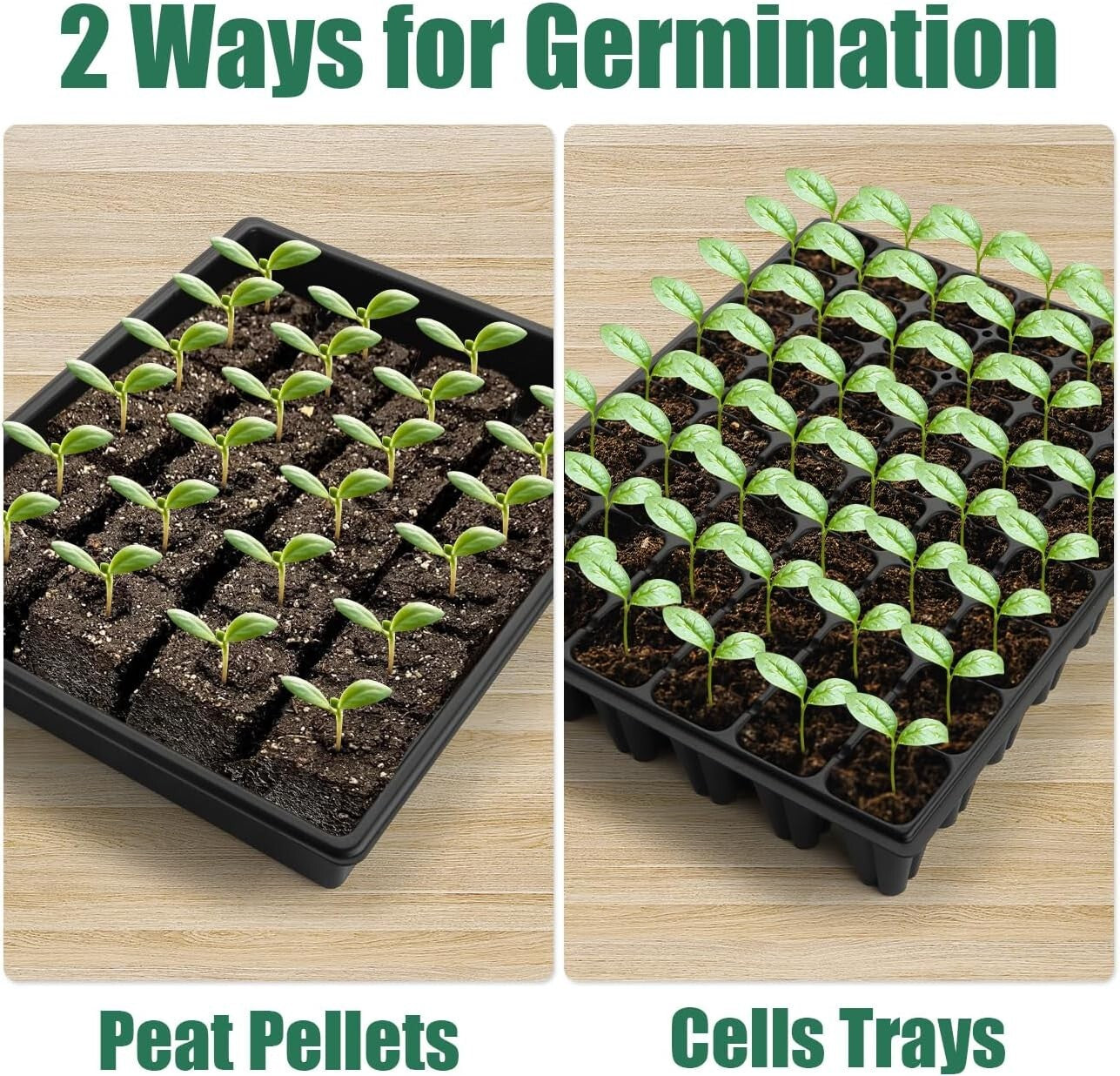 Heavy-Duty 5-Pack Seed Starter Trays with Leak-Proof Dome for Indoor/Outdoor Use