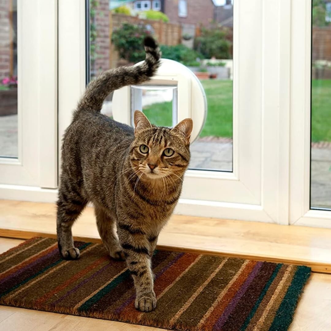 Elegant Microchip Cat Flap - Selective Entry Door with One-Button Programming