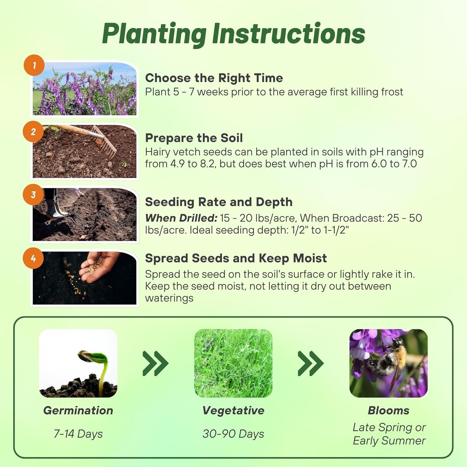 Pollinator Friendly Hairy Vetch Seeds - 10 Lbs for Soil Health & Biodiversity