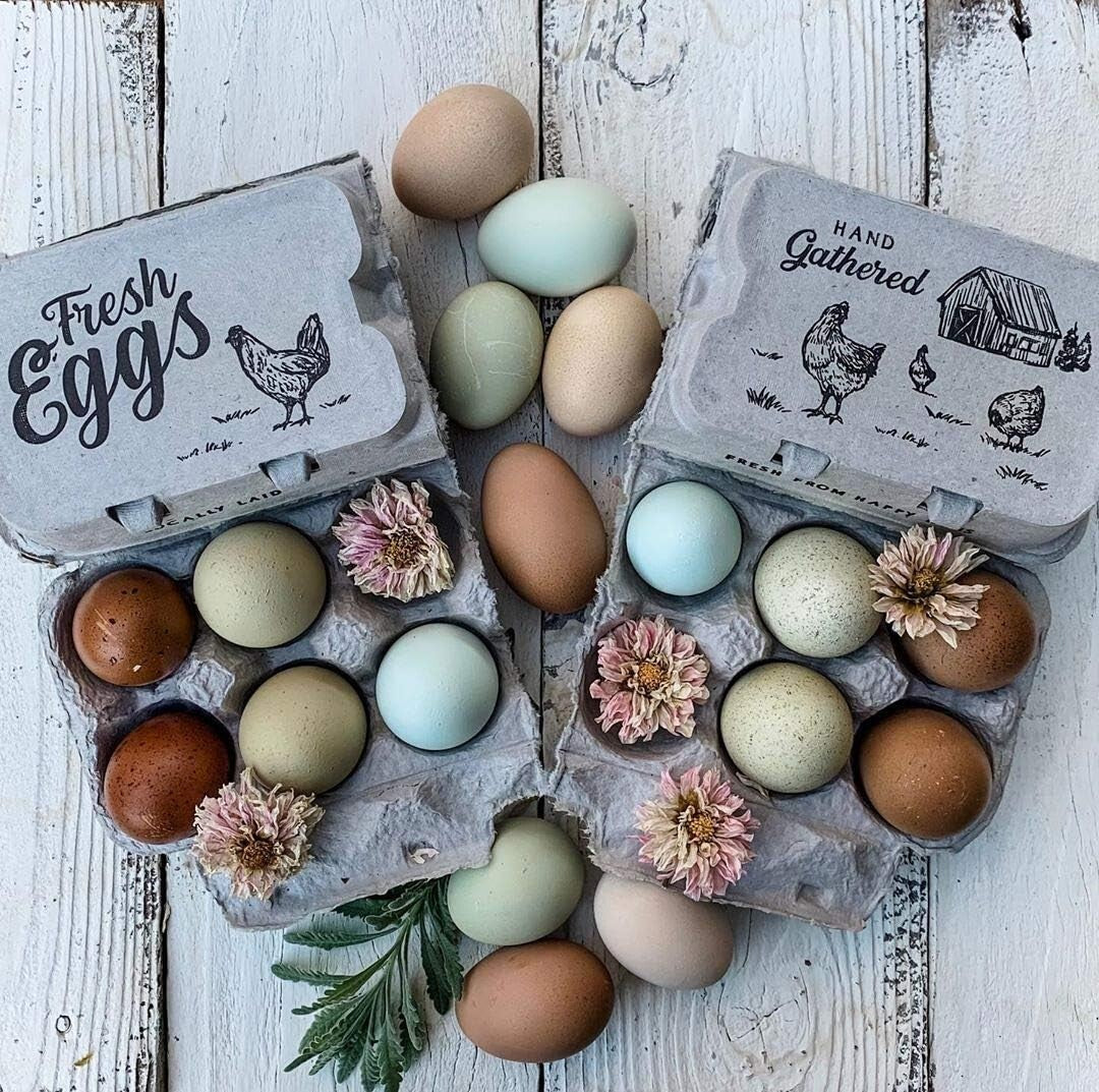 Charming Farm Fresh Egg Cartons - Half Dozen and Full Dozen Options in 250 Pack