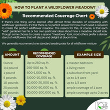 Load image into Gallery viewer, Organic Perennial Wildflower Seed Mix, 1 lb Shaker for Effortless Planting