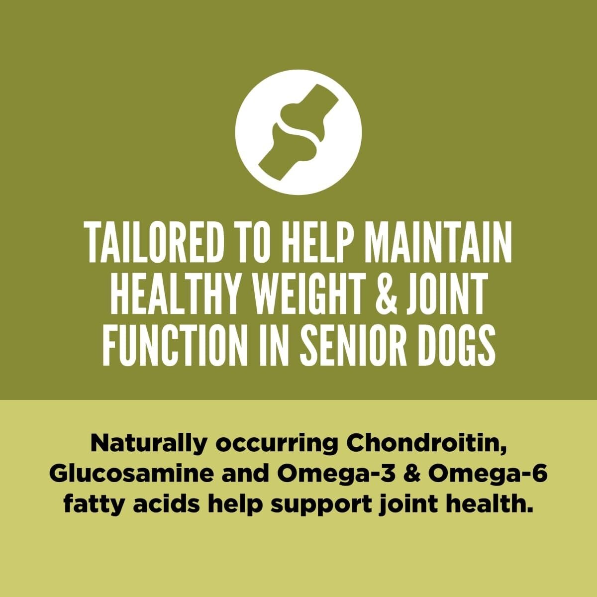 Senior Grain-Free Dry Dog Food, 4.5lb – Supports Joint Health & Healthy Weight