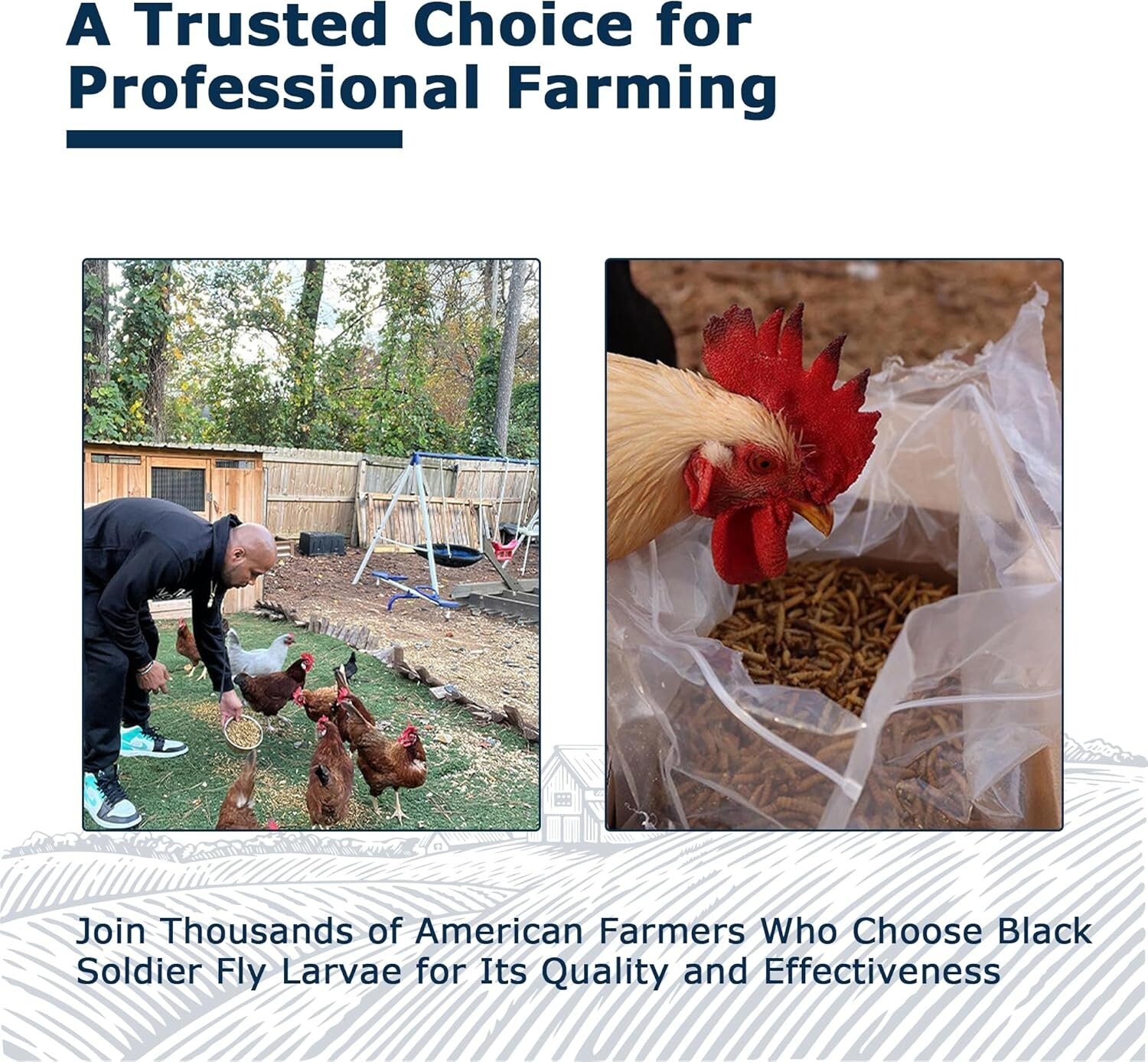 10LB Dried BSF Larvae - High-Protein, Natural Feed for Poultry, Birds & Reptiles