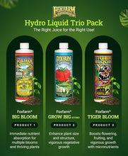 Load image into Gallery viewer, Organic Hydroponic Nutrient Trio - Boost Vegetation &amp; Flower Yields Effortlessly