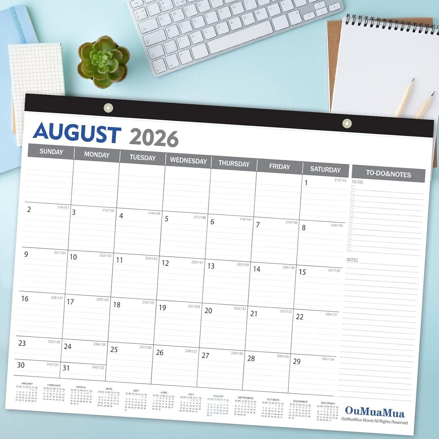 Spacious 2025-2026 Calendar Set - Ideal for Teams & Collaborative Workspaces
