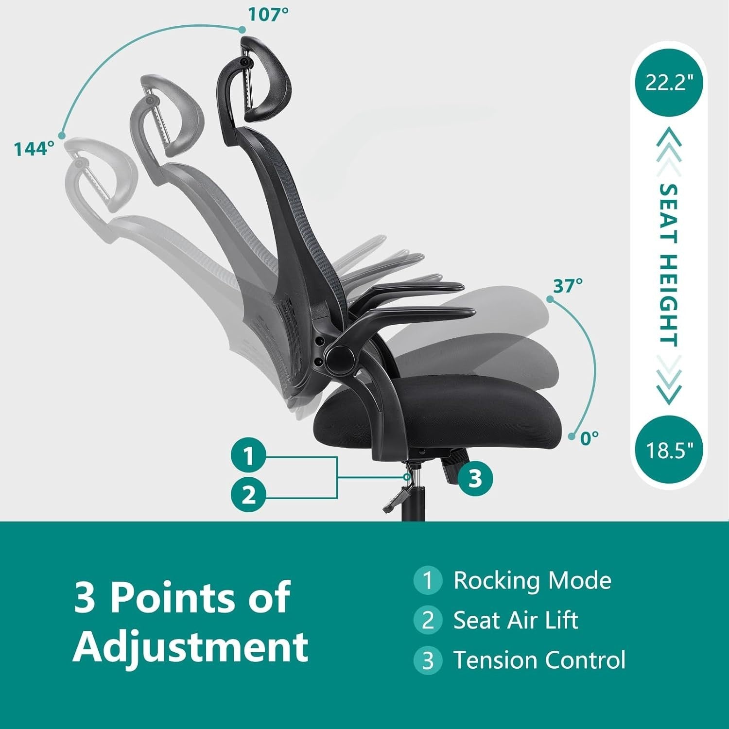 Ergonomic High-Back Office Chair with Lumbar Support and Flip-Up Armrests, Black