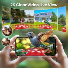 Load image into Gallery viewer, Smart Hummingbird Feeder Camera with AI Wildlife Recognition and Ant Moat Design