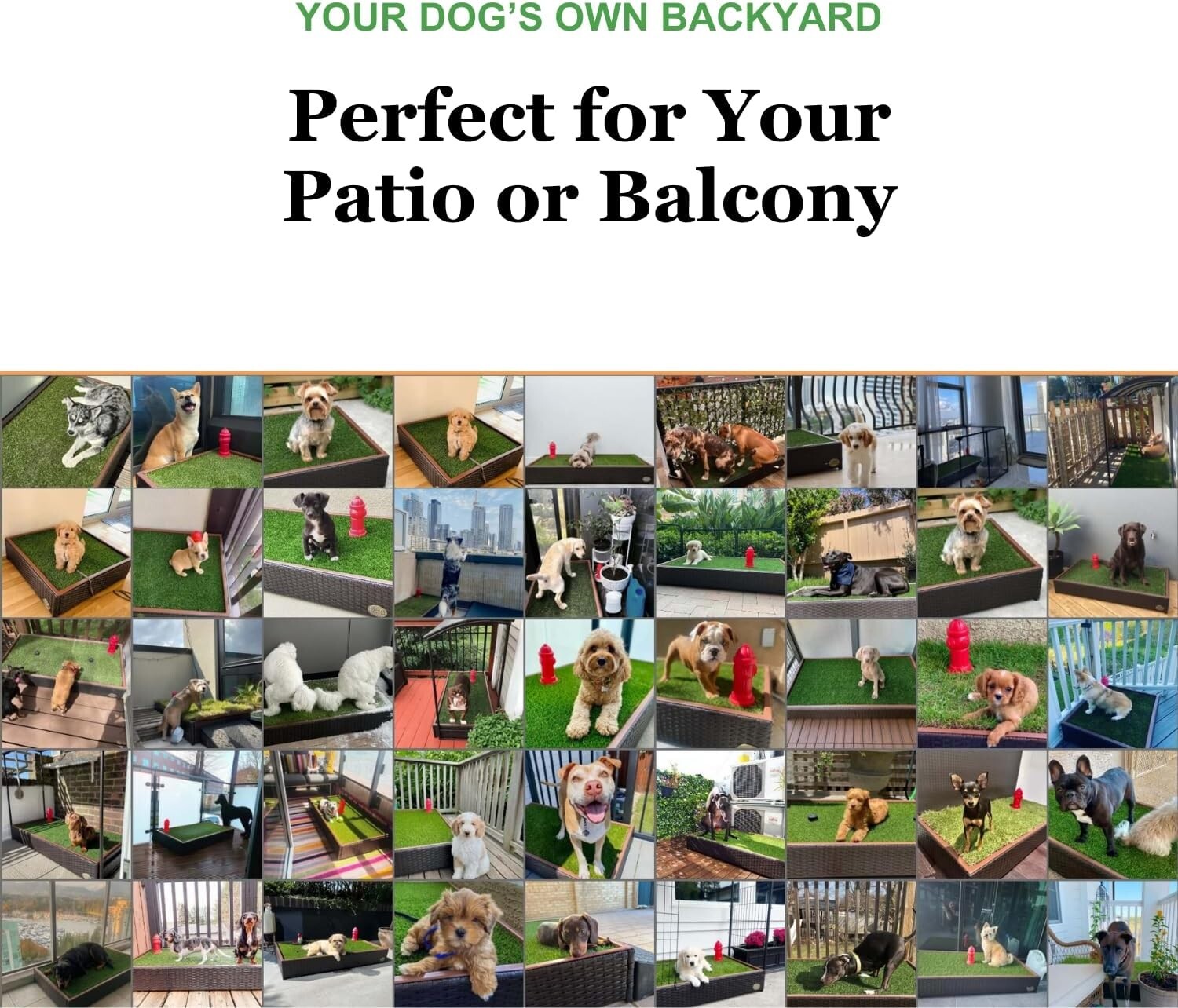 Low Maintenance Pet Potty with Sprinklers - Usable for Any Dog Size in Any Space