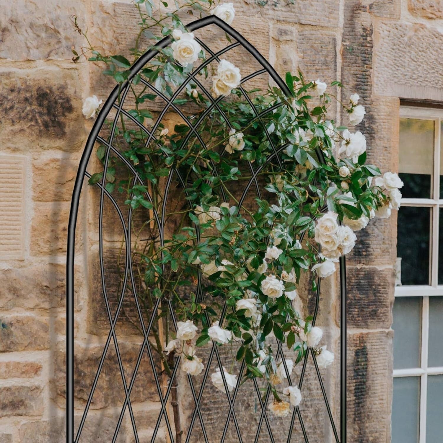 2 Pack Large 75" x 31" Heavy-Duty Metal Garden Trellis for Climbing Plants