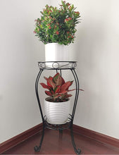 Load image into Gallery viewer, Black Powder-Coated 2-Tier Plant Stand - Heavy Duty for Indoors &amp; Outdoors