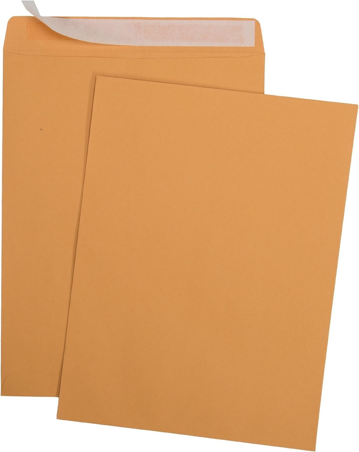 Durable 9x12 Self-Sealing Brown Kraft Envelopes - 250 Pack for Business Use