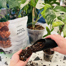 Load image into Gallery viewer, Molly's Aroid Mix: Premium Soilless Potting Mix for Indoor Plants, 10 Dry Quarts