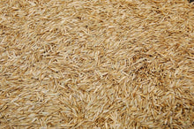Load image into Gallery viewer, High-Quality Kentucky 31 Tall Fescue Grass Seed - No Fillers, State Certified