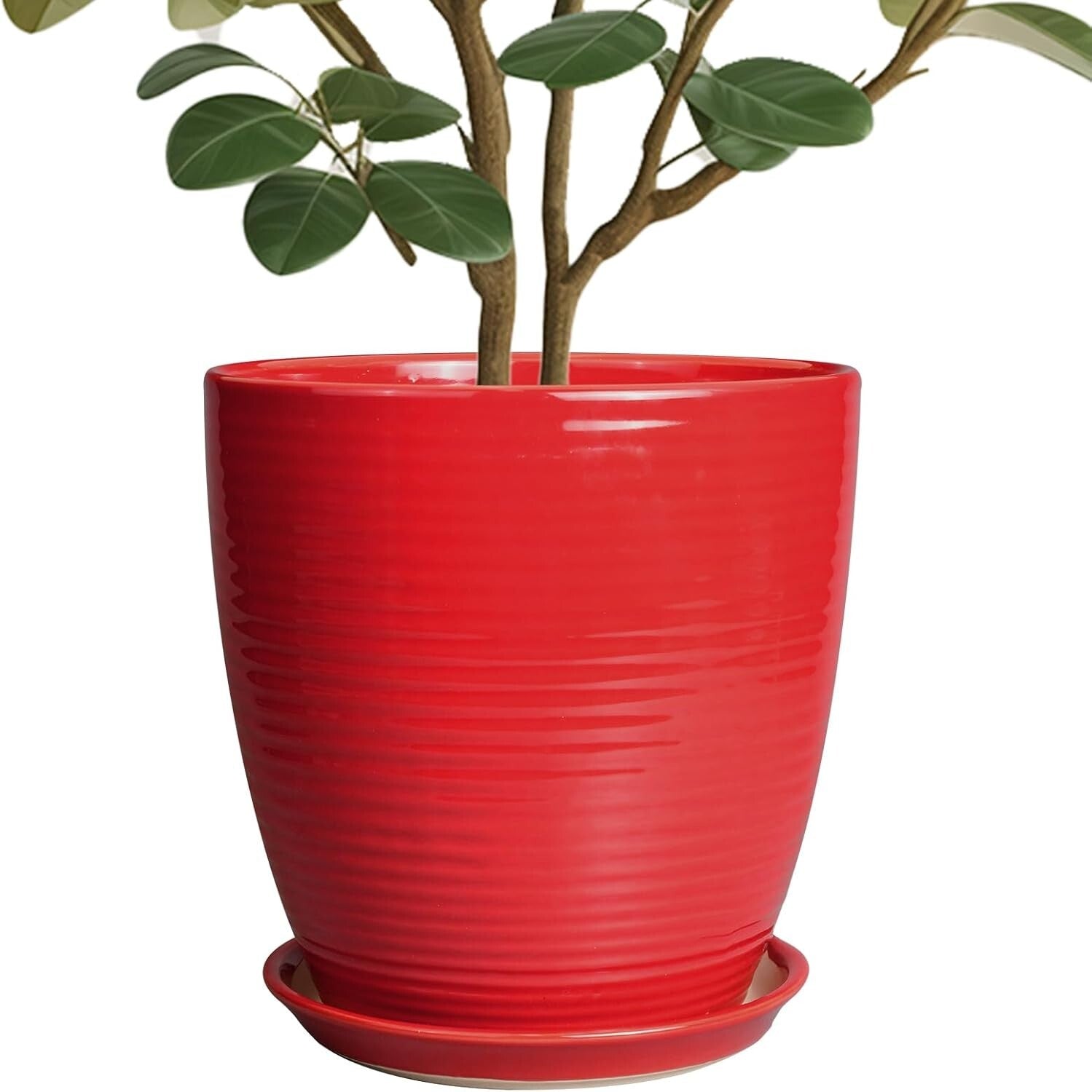 Stylish Round Red Ceramic Planter 10 Inch - Perfect for Flowers & Gifts