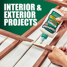 Load image into Gallery viewer, Triumph in Woodworking: 1-Gallon III Waterproof Wood Glue with Extra Strength