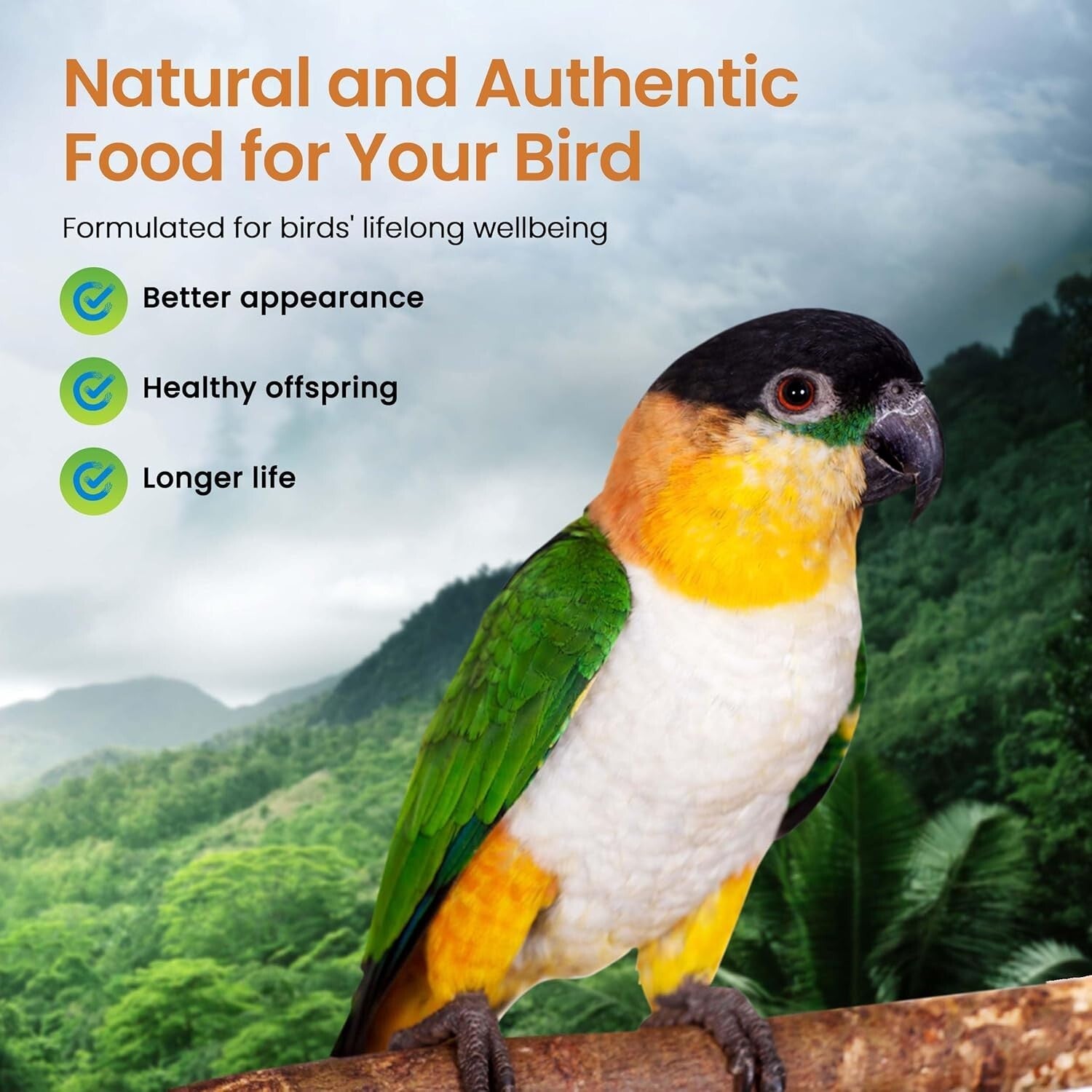 High Potency Organic Bird Food - 25lb Non-GMO Formula for Parrots & Medium Birds