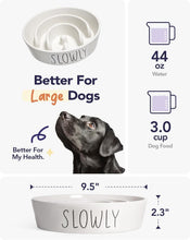 Load image into Gallery viewer, Ceramic Slow Feeder Dog Bowl - 3 Cups Non-Slip Puzzle Design for Healthy Eating