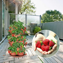 Load image into Gallery viewer, Space-Saving 5-Tier Terracotta Planter - Perfect for Vegetables and Succulents