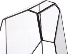 Load image into Gallery viewer, Eco-Friendly Large 16-Inch Terrarium - Irregular Shape for Unique Plant Displays