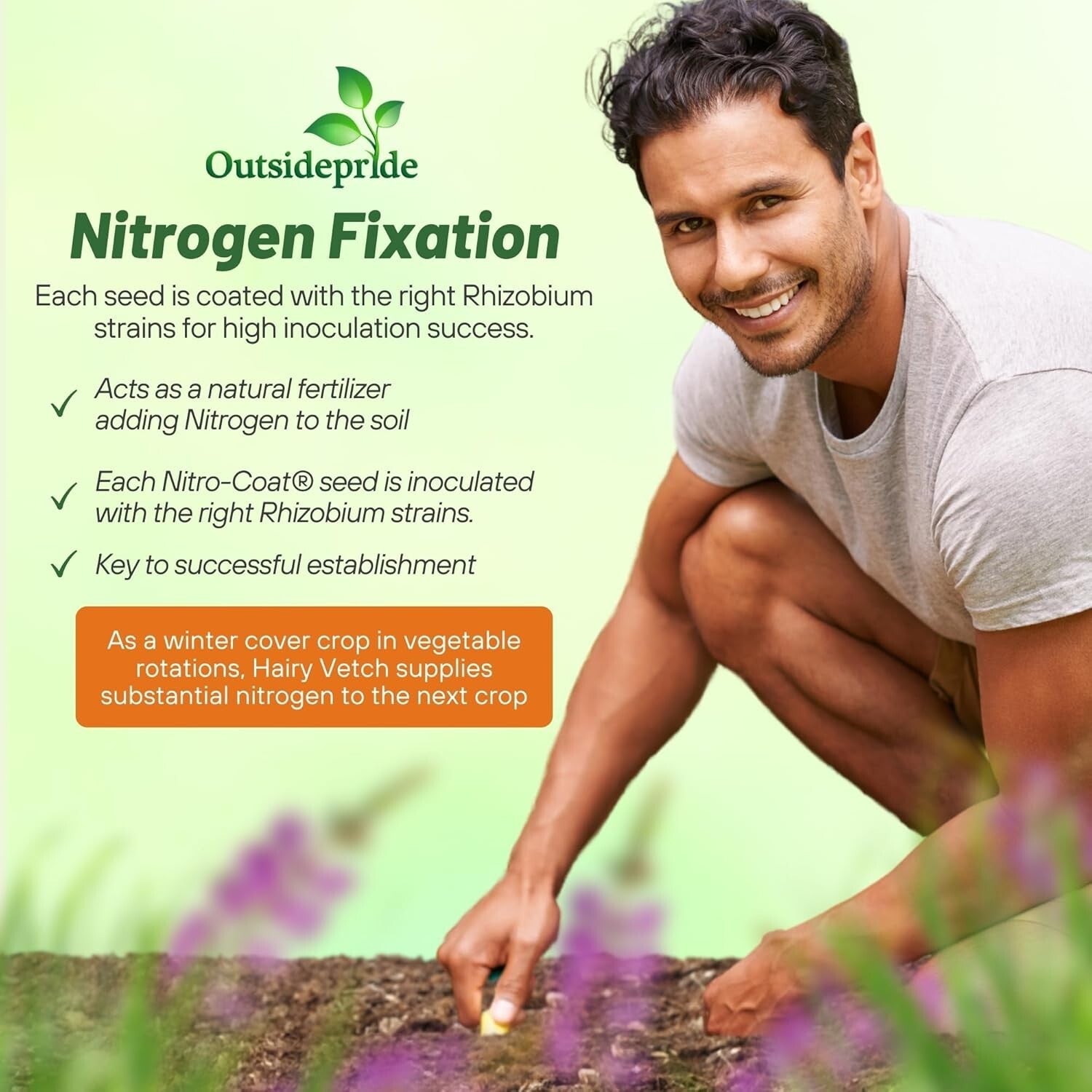 Pollinator Friendly Hairy Vetch Seeds - 10 Lbs for Soil Health & Biodiversity