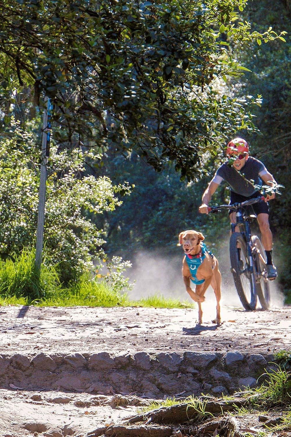 Versatile Large Dog Harness with Back Handle & Leash Options – Black Mesh Design