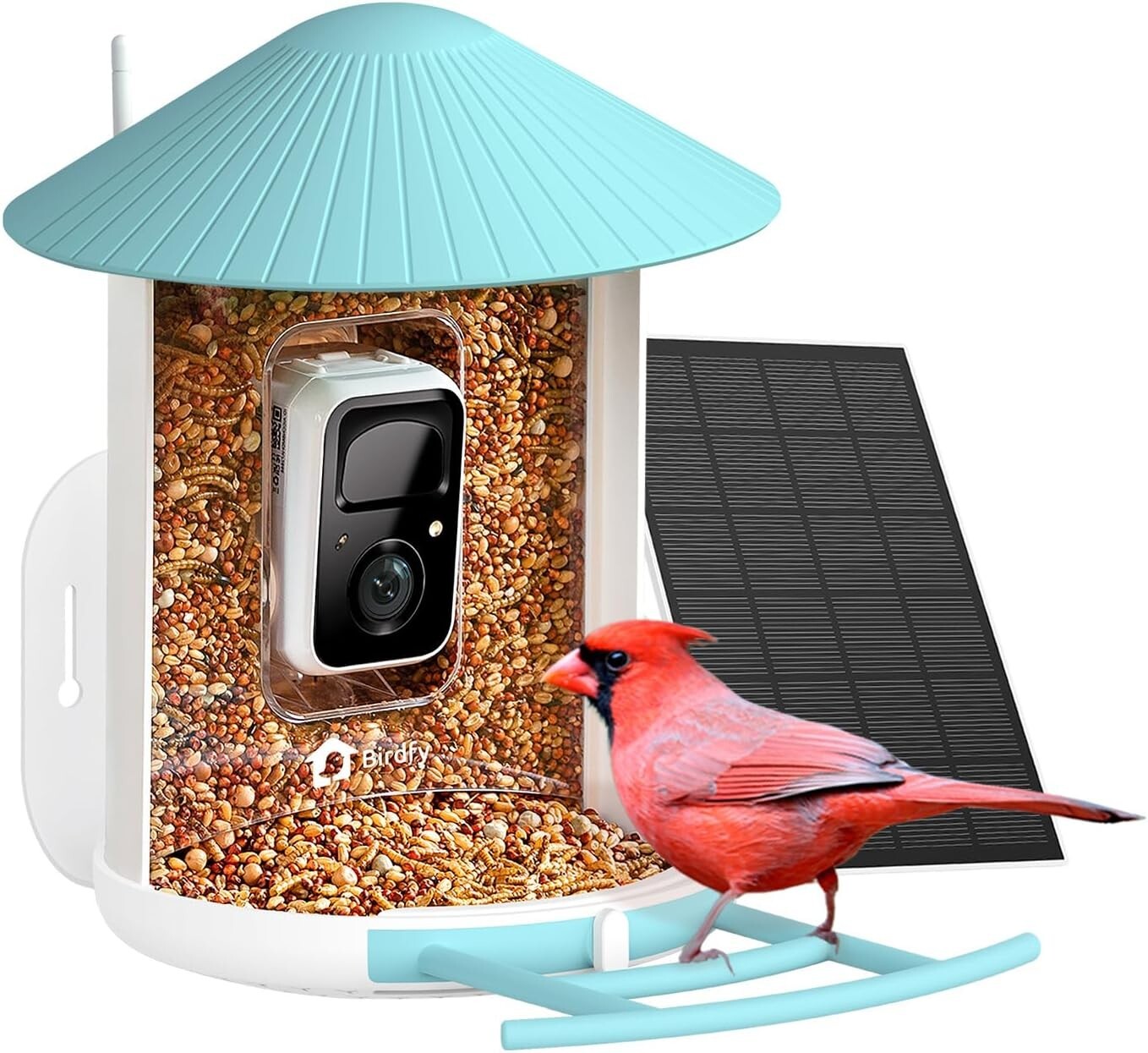 Wireless Smart Bird Feeder with 1.5L Capacity & Night Vision for Bird Lovers
