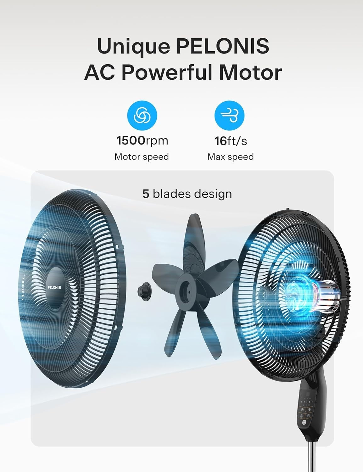 18-Inch Oscillating Pedestal Fan with Remote & 5 Speed Settings - Black Elegance