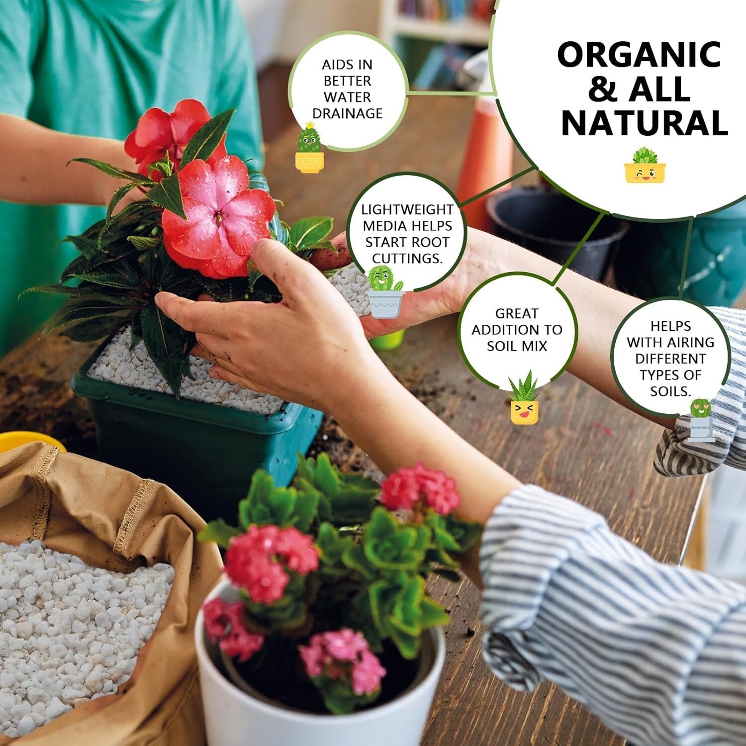 Superior Soil Conditioner: 30QT Organic Perlite for Improved Root Growth