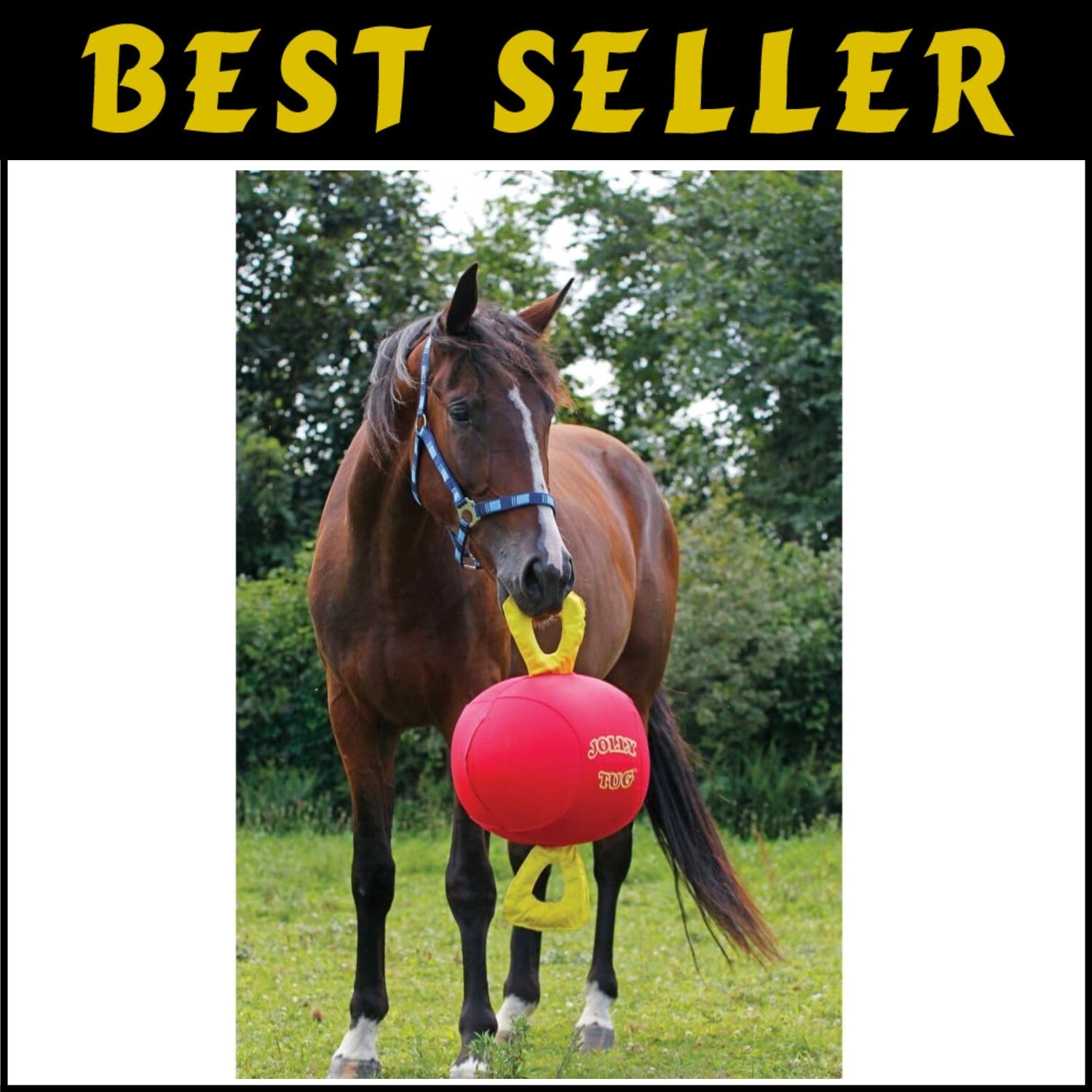 14" Jolly Tug Toy for Horses - Bright Blue, Machine Washable, All Breeds