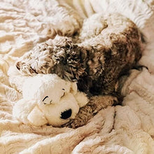 Load image into Gallery viewer, Snuggle Puppy Toy - Calming Heartbeat Aid for All Dog Breeds - Machine Washable