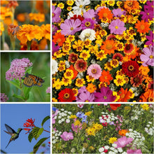 Load image into Gallery viewer, GMO-Free Wildflower Seed Shaker - Hummingbird, Monarch &amp; Bee Mix for 1,000 sq ft