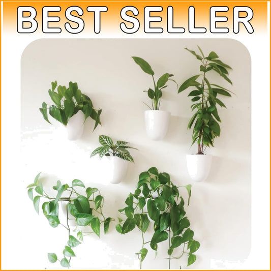 Lightweight Resin Indoor Wall Planters - 6 Self-Watering Pots for Easy Care