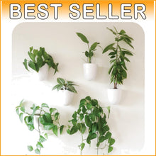 Load image into Gallery viewer, Lightweight Resin Indoor Wall Planters - 6 Self-Watering Pots for Easy Care