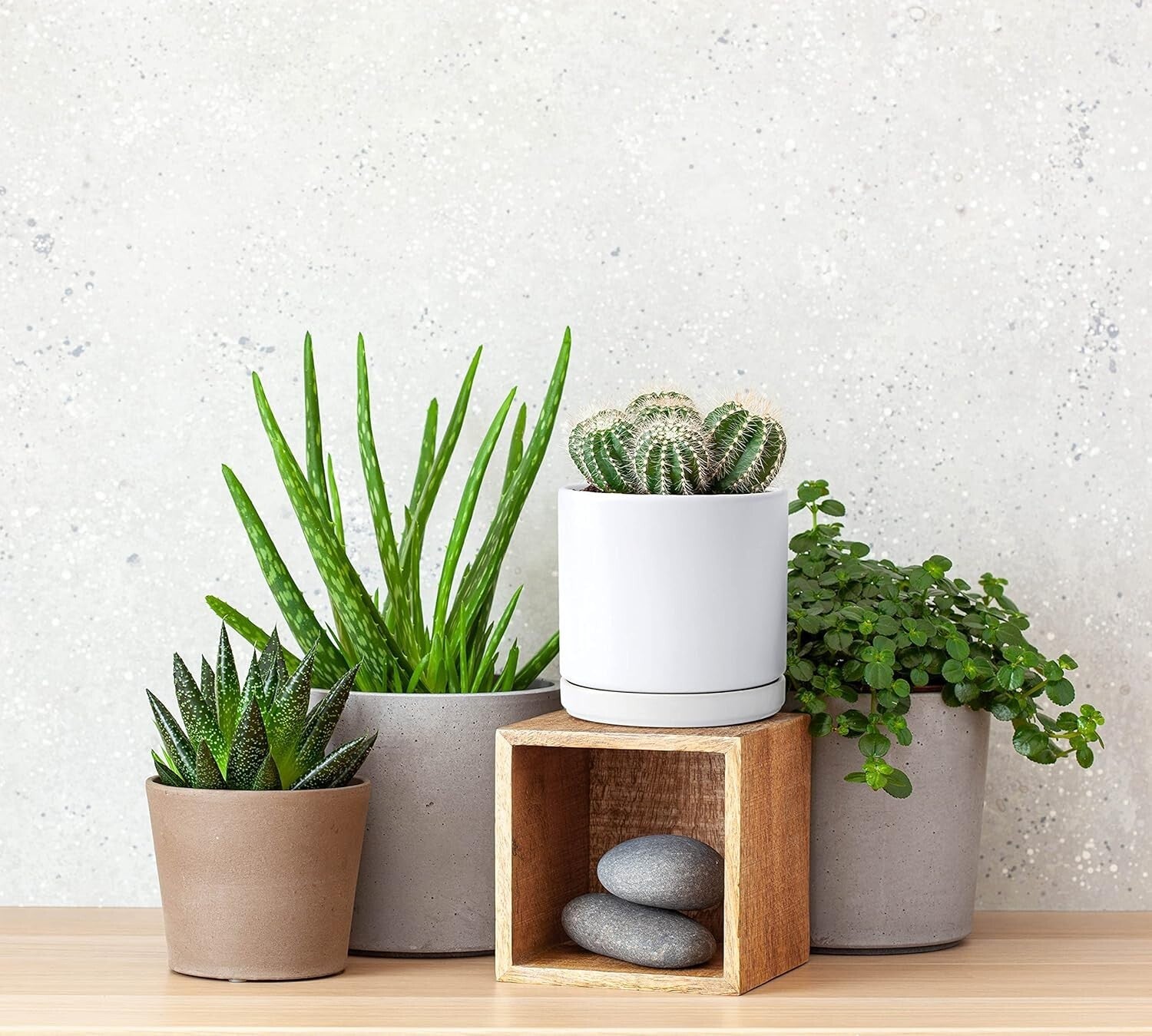 Lightweight White Ceramic Plant Pots with Saucer - Ideal for Indoor Plants