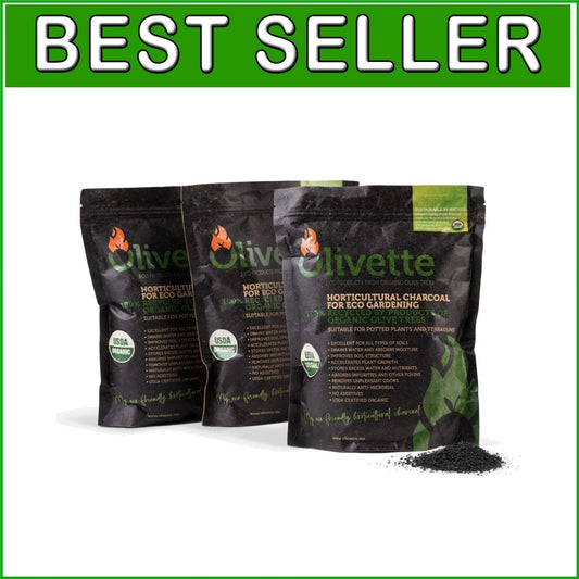 Eco-Friendly Activated Charcoal for Terrariums - Nourish Your Plants Naturally