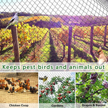 Load image into Gallery viewer, Durable 50' x 50' Garden Netting - Protect Your Plants from Birds and Animals