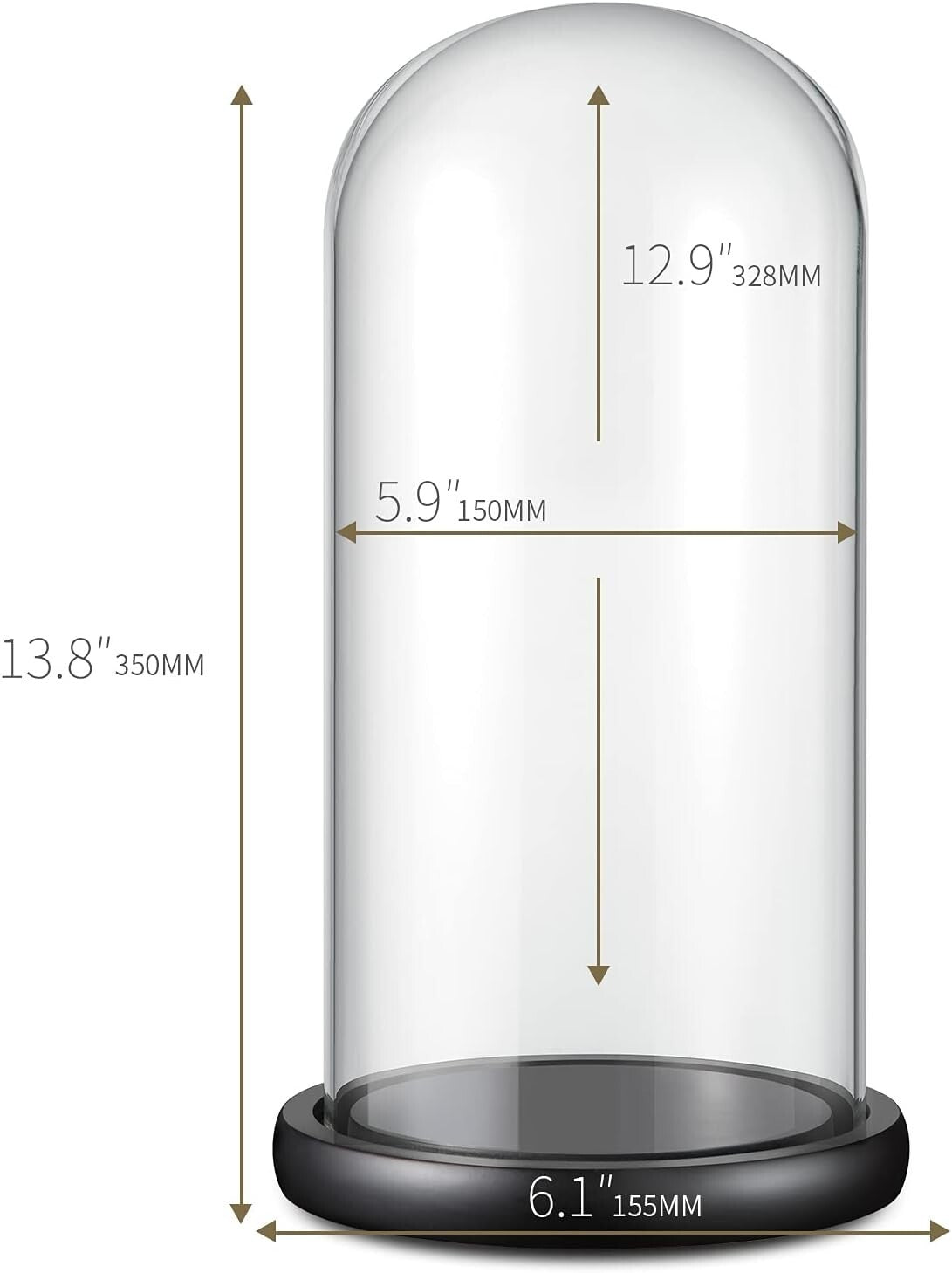 13" x 6" Hand-Blown Glass Cloche Dome for Showcasing Gold Roses & Collectibles