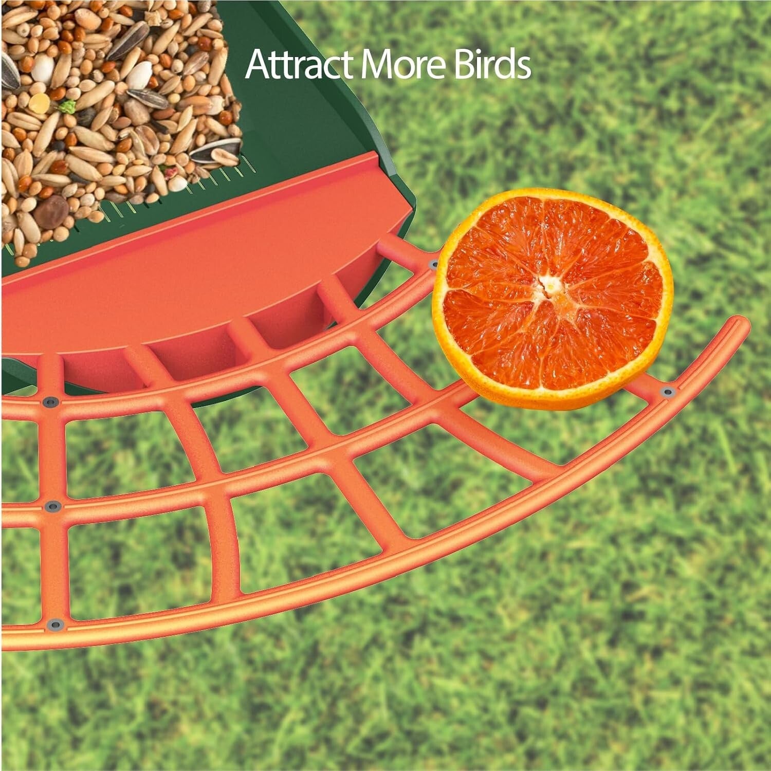 1080P HD Bird Feeder Camera with Motion Detection - Perfect Gift for Bird Lovers