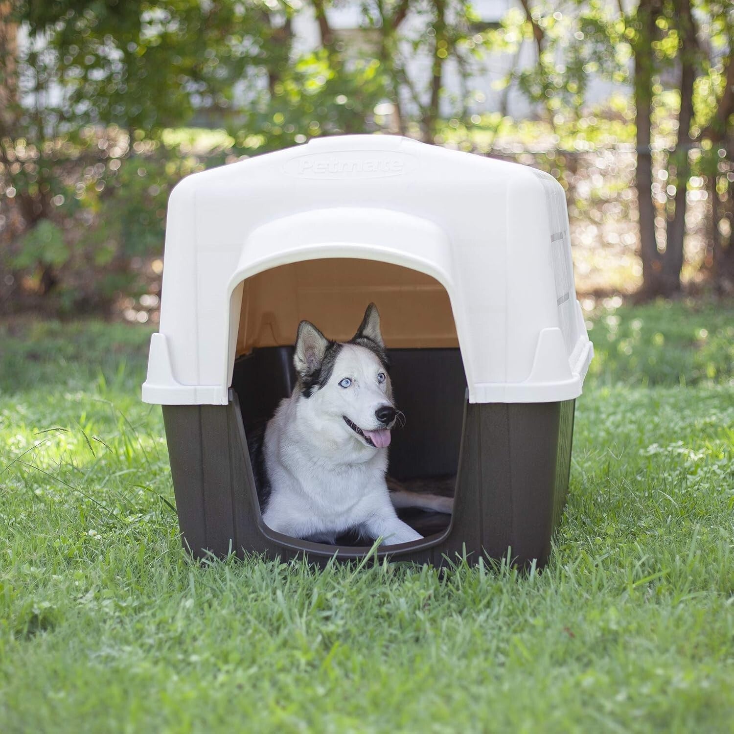 Weather-Resistant Aspen Pet Outdoor Dog House for Medium Breeds (25-50 lbs)