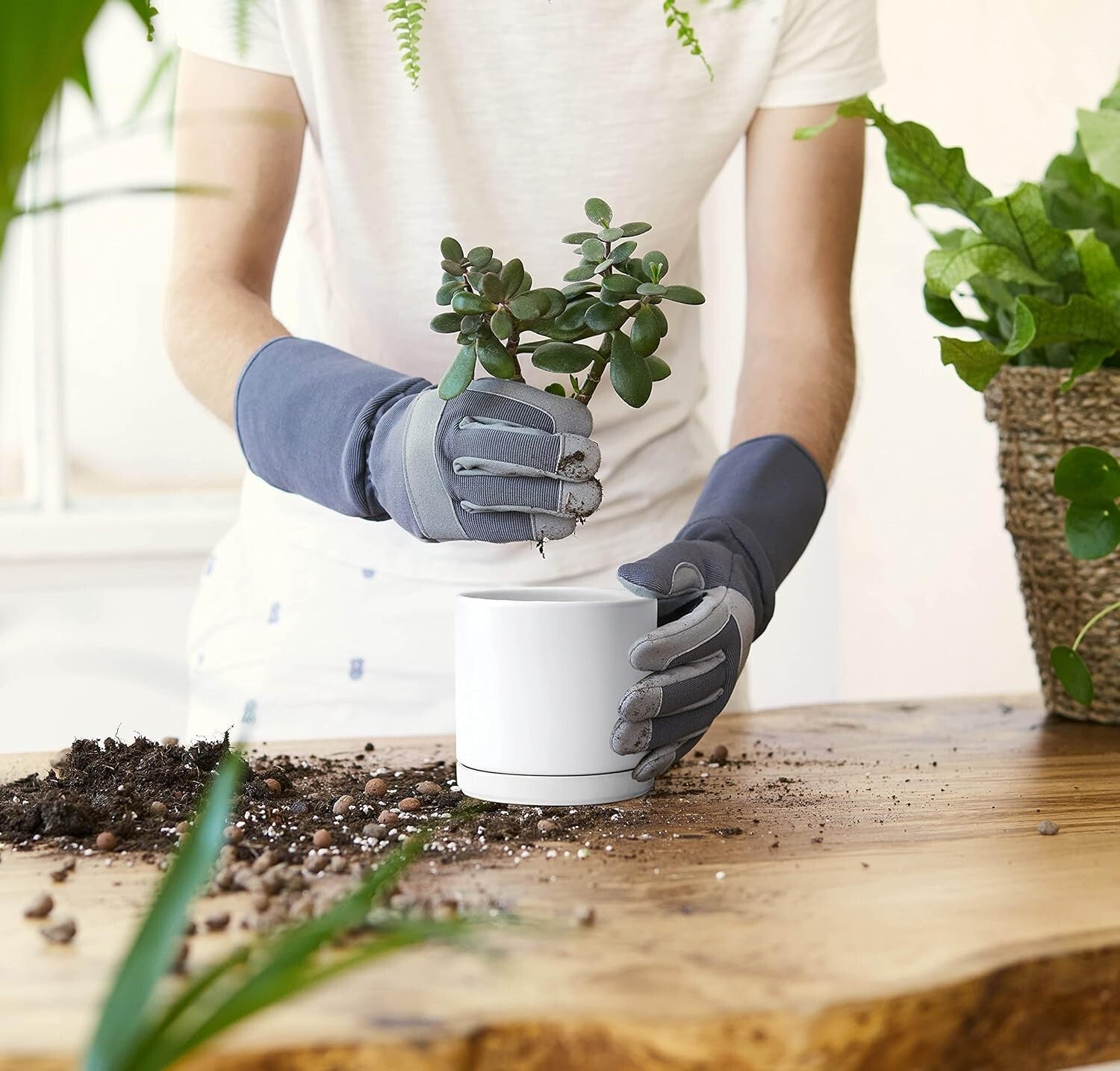 Lightweight White Ceramic Plant Pots with Saucer - Ideal for Indoor Plants