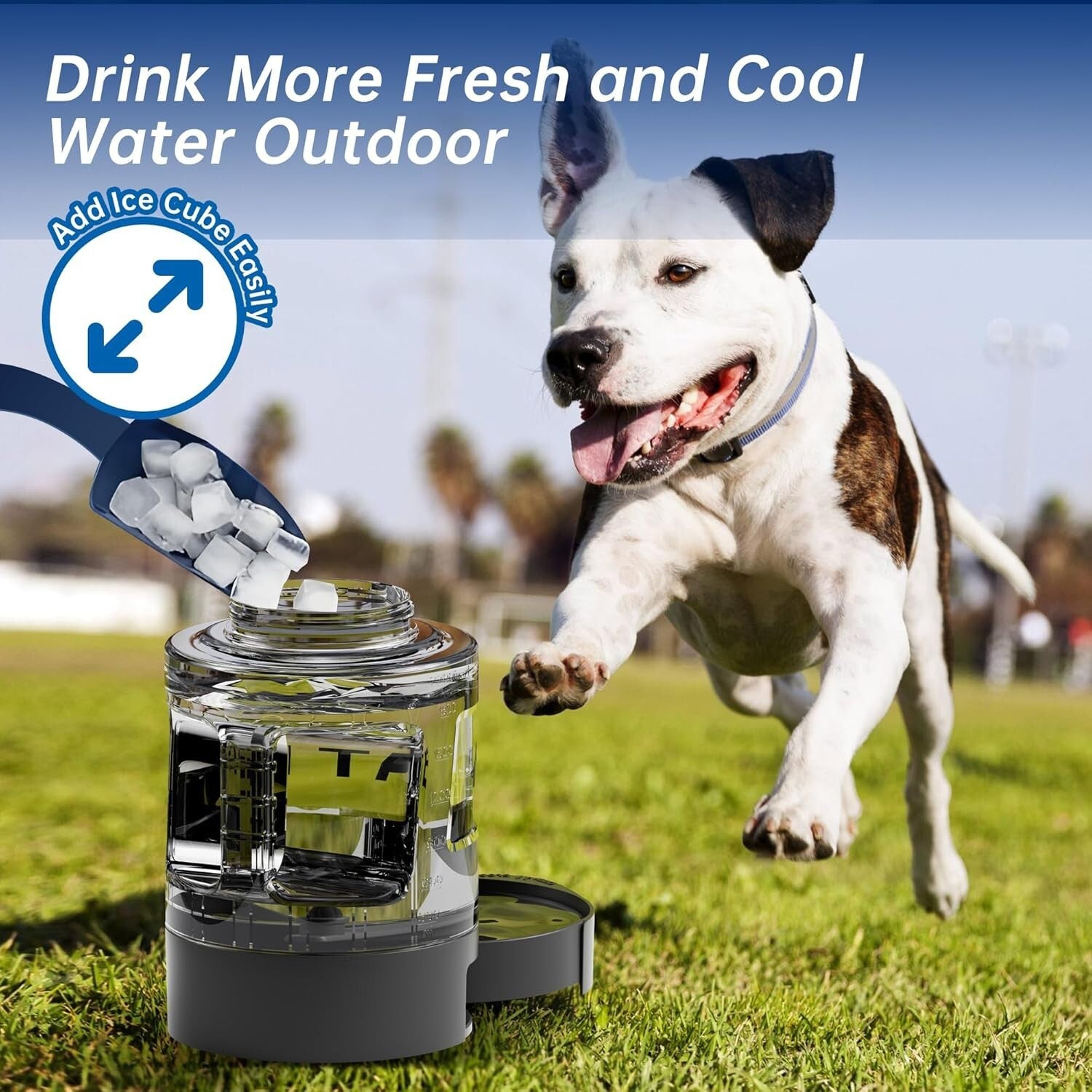 Lightweight Travel-Friendly Dog Water Bottle with Pull-Out Drinking Bowl